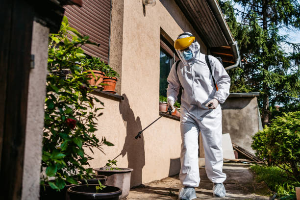 Best Rodent Control Near Me  in Crete, IL