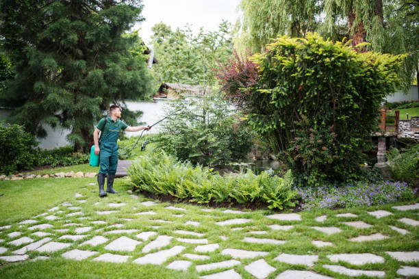 Best Emergency Pest Control  in Crete, IL