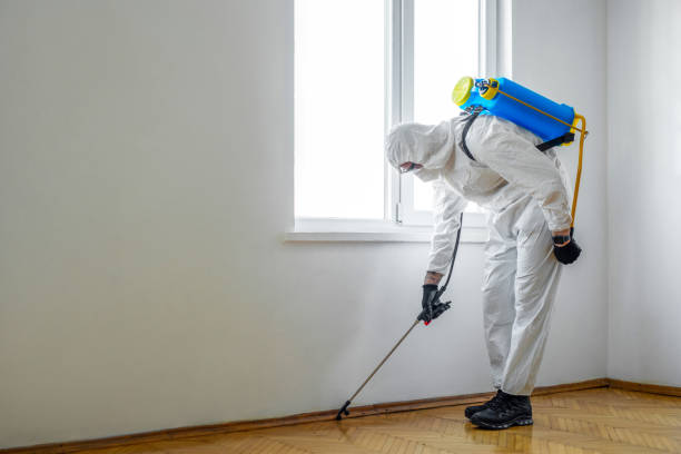 Best Pest Control Near Me in Crete, IL
