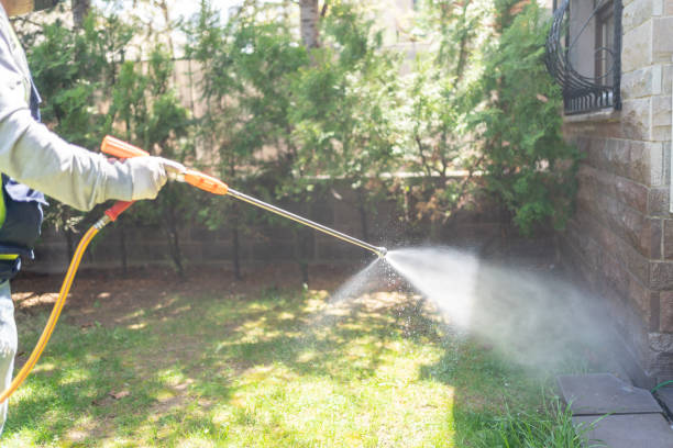 Best Pest Prevention Services  in Crete, IL