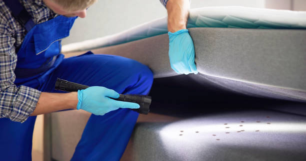 Best Best Pest Control Near Me  in Crete, IL