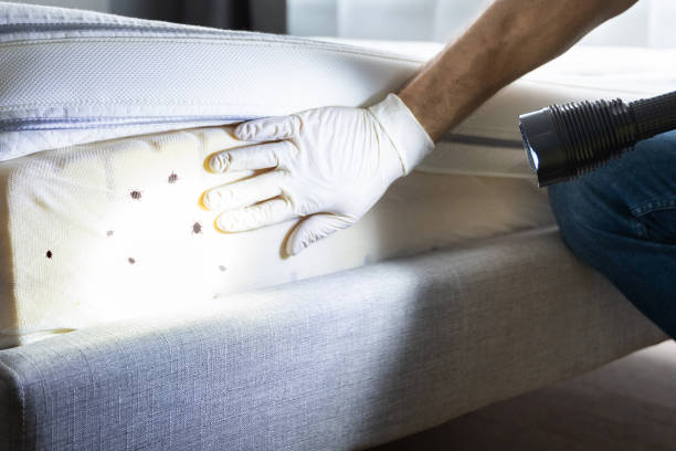 Best Best Pest Control Companies  in Crete, IL