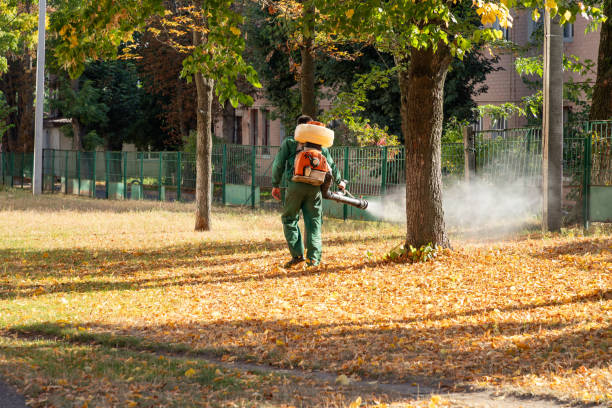 Best Spider Control Near Me  in Crete, IL