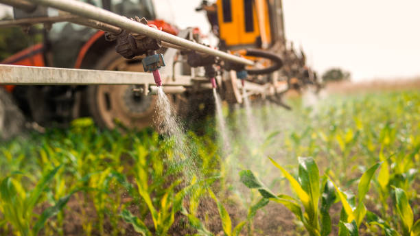 Trusted Crete, IL Pest Control Experts