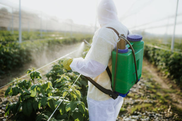 Best Best Pest Control Companies  in Crete, IL